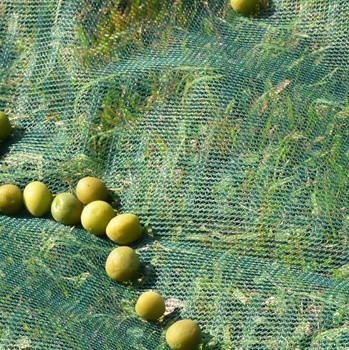  Madárháló növényekre-erkélyekre 2mx10m